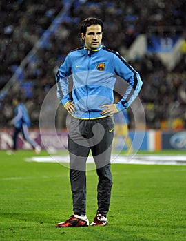 Cesc FÃÂ bregas